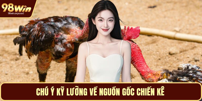 Chú ý kỹ lưỡng về nguồn gốc chiến kê