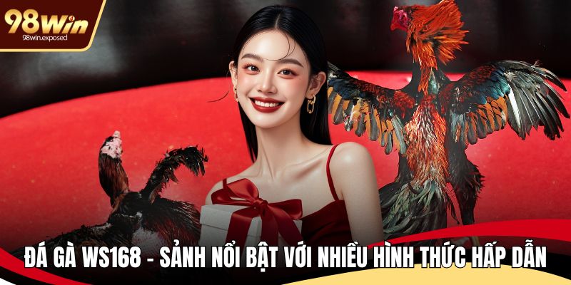 Đá gà WS168