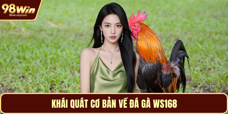 Khái quát cơ bản về đá gà WS168